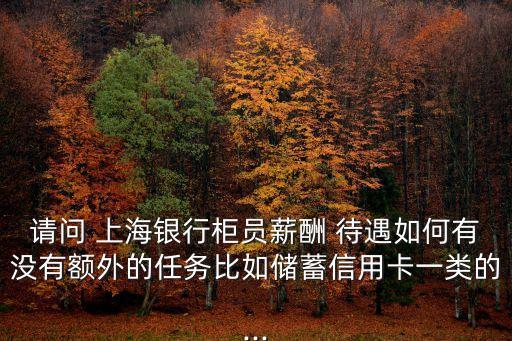 請問 上海銀行柜員薪酬 待遇如何有沒有額外的任務(wù)比如儲蓄信用卡一類的...