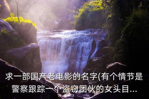 求一部國產(chǎn)老電影的名字(有個(gè)情節(jié)是警察跟蹤一個(gè)盜竊團(tuán)伙的女頭目...