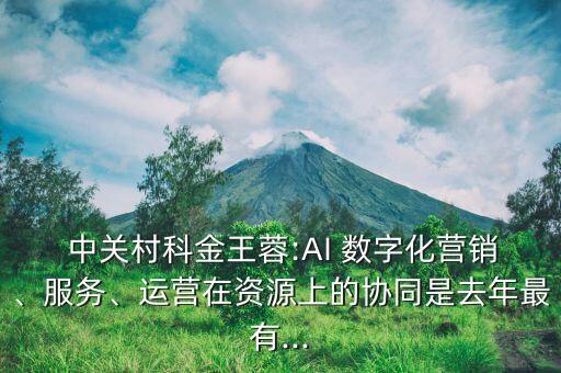  中關(guān)村科金王蓉:AI 數(shù)字化營(yíng)銷、服務(wù)、運(yùn)營(yíng)在資源上的協(xié)同是去年最有...