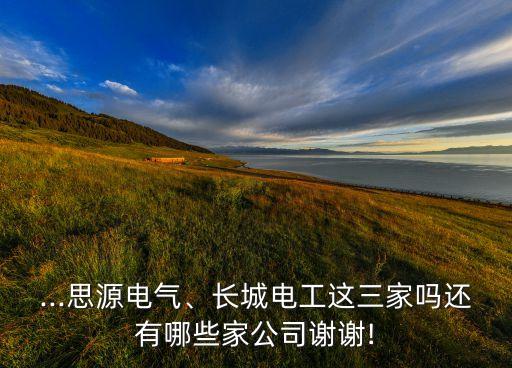 ...思源電氣、長城電工這三家嗎還有哪些家公司謝謝!