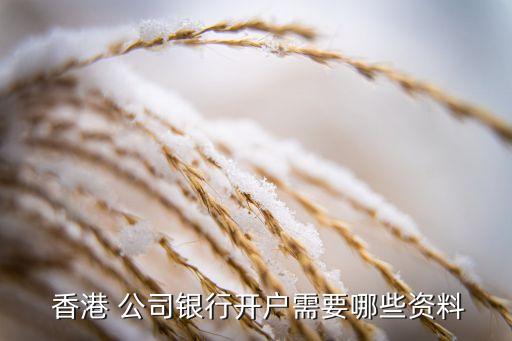  香港 公司銀行開(kāi)戶(hù)需要哪些資料