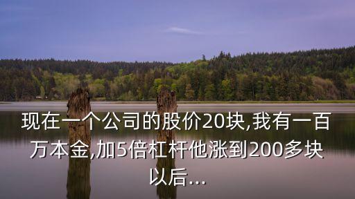 現(xiàn)在一個(gè)公司的股價(jià)20塊,我有一百萬(wàn)本金,加5倍杠桿他漲到200多塊以后...