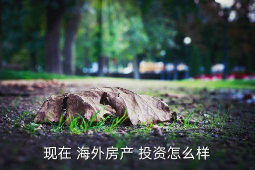 現在 海外房產 投資怎么樣