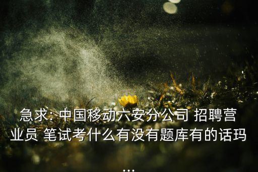 急求: 中國(guó)移動(dòng)六安分公司 招聘營(yíng)業(yè)員 筆試考什么有沒有題庫有的話瑪...
