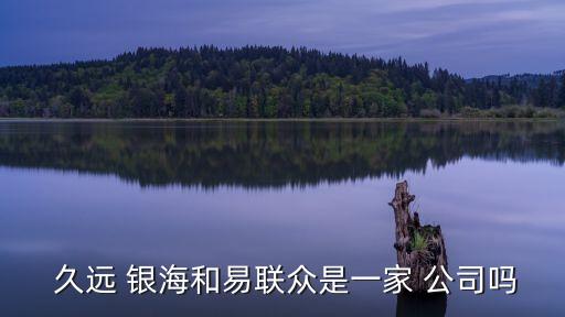  久遠 銀海和易聯(lián)眾是一家 公司嗎