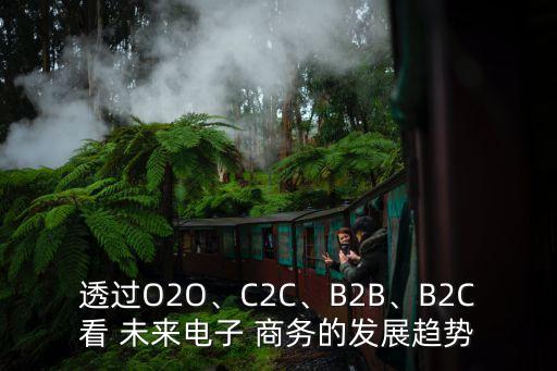 透過O2O、C2C、B2B、B2C看 未來電子 商務(wù)的發(fā)展趨勢