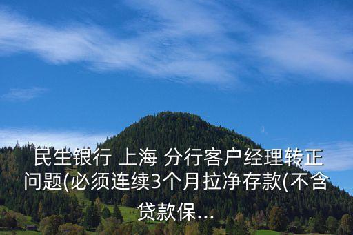  民生銀行 上海 分行客戶經(jīng)理轉正問題(必須連續(xù)3個月拉凈存款(不含貸款保...