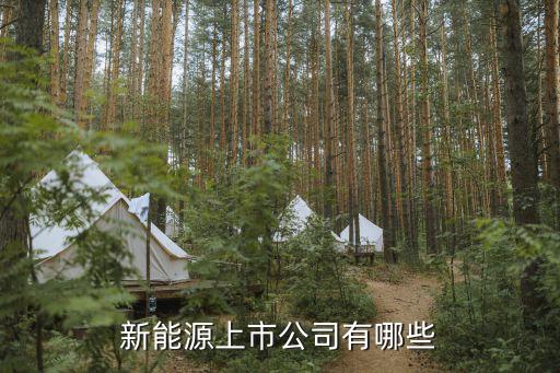 中國寶安集團資產(chǎn)管理有限公司