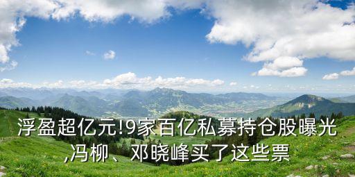 浮盈超億元!9家百億私募持倉(cāng)股曝光,馮柳、鄧曉峰買了這些票