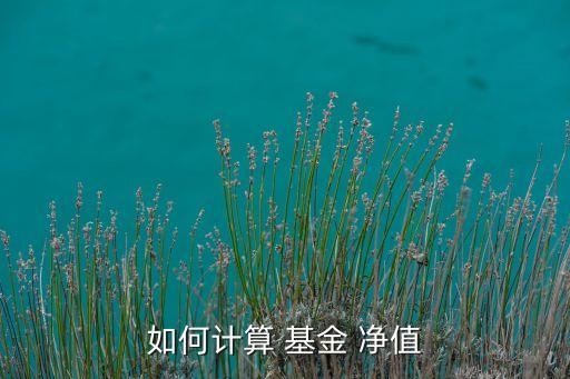 如何計算 基金 凈值