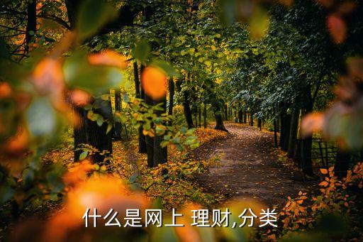 互聯(lián)網(wǎng)投資理財(cái)管理,p2p互聯(lián)網(wǎng)投資理財(cái)平臺