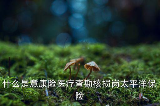 中國太?；A(chǔ)設(shè)施債權(quán),基礎(chǔ)設(shè)施債權(quán)計劃