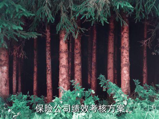 保險公司業(yè)績指標,平安保險公司的關鍵業(yè)績指標管理模式