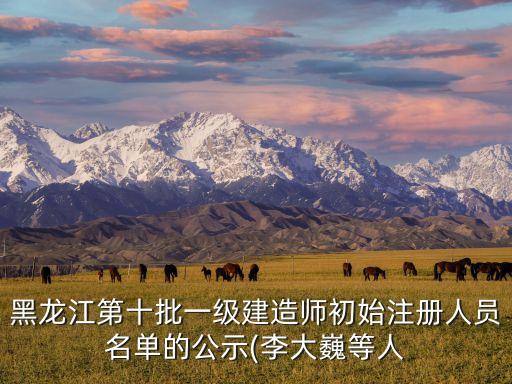 黑龍江第十批一級(jí)建造師初始注冊人員名單的公示(李大巍等人