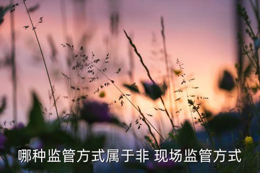 銀行非現場檢查