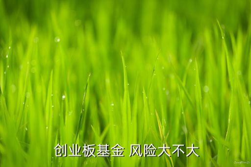  創(chuàng)業(yè)板基金 風(fēng)險大不大