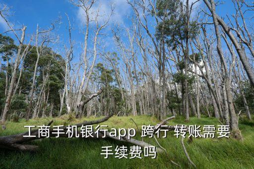 工商手機銀行app 跨行 轉賬需要 手續(xù)費嗎