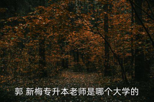 郭 新梅專(zhuān)升本老師是哪個(gè)大學(xué)的