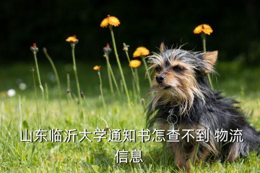  山東臨沂大學(xué)通知書(shū)怎查不到 物流信息