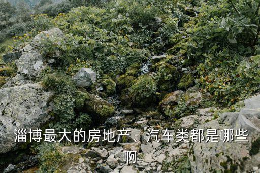  淄博最大的房地產(chǎn)、汽車(chē)類都是哪些啊