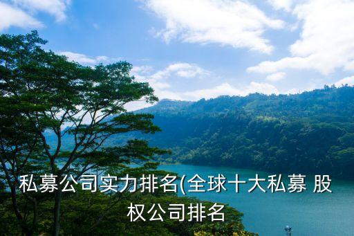 私募公司實力排名(全球十大私募 股權公司排名