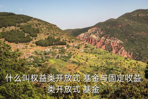 權基金