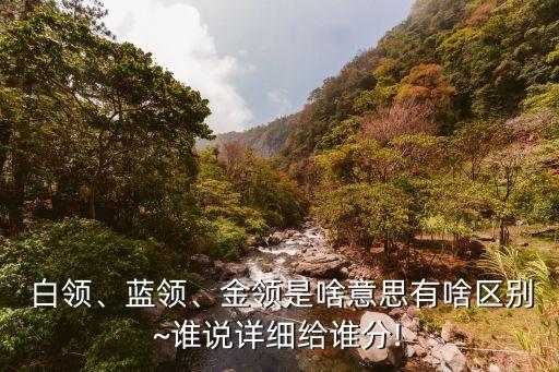  白領(lǐng)、藍(lán)領(lǐng)、金領(lǐng)是啥意思有啥區(qū)別~誰說詳細(xì)給誰分!