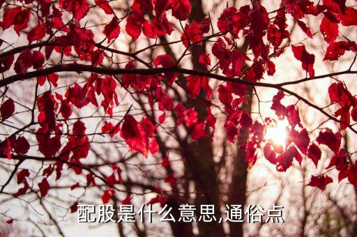 公司內部配股,中金公司配股