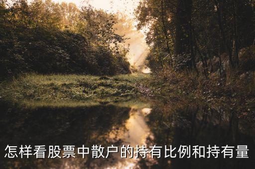怎樣看股票中散戶(hù)的持有比例和持有量