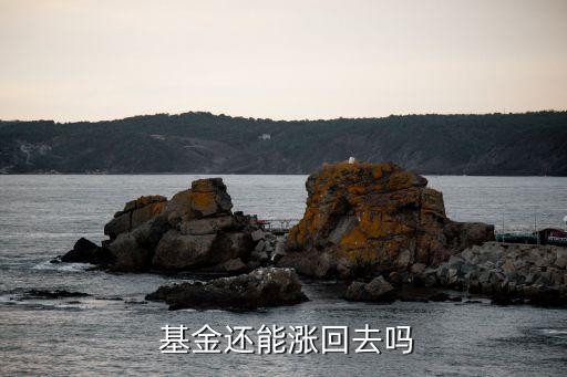 中國(guó)石油重倉基金,重倉石油的基金有哪些