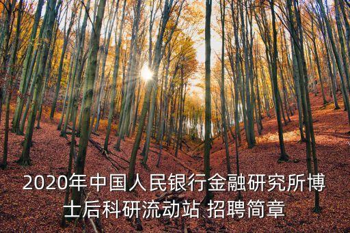 2020年中國人民銀行金融研究所博士后科研流動(dòng)站 招聘簡(jiǎn)章