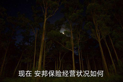 現在 安邦保險經營狀況如何