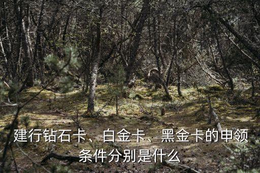  建行鉆石卡、白金卡、黑金卡的申領(lǐng)條件分別是什么