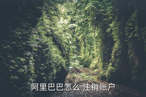 阿里巴巴怎么 注銷(xiāo)賬戶(hù)