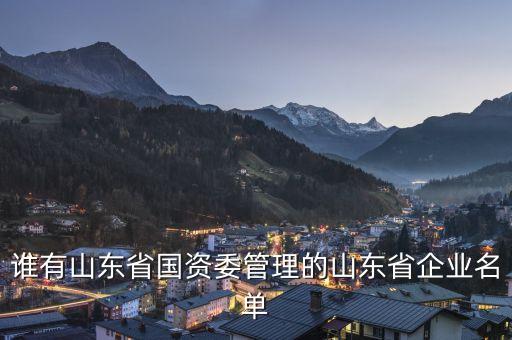 誰有山東省國(guó)資委管理的山東省企業(yè)名單