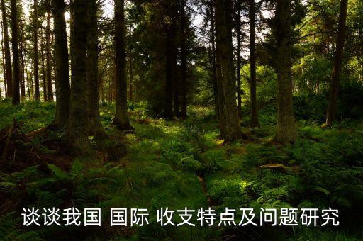 談?wù)勎覈?guó) 國(guó)際 收支特點(diǎn)及問題研究
