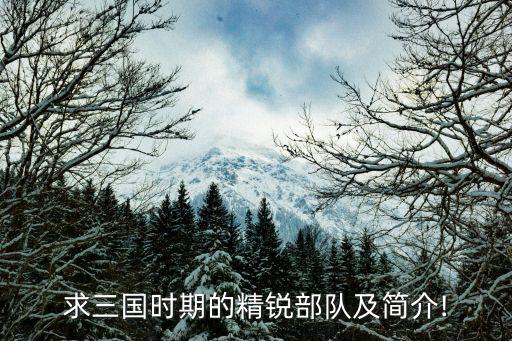 求三國時(shí)期的精銳部隊(duì)及簡介!