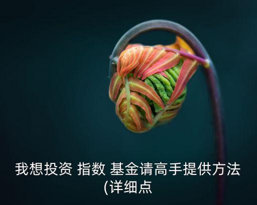 我想投資 指數(shù) 基金請高手提供方法(詳細(xì)點(diǎn)