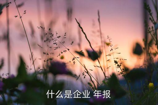 2015上市公司年報下載,上市公司年報下載的專業(yè)網站