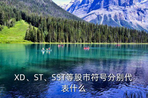 XD、ST、SST等股市符號(hào)分別代表什么