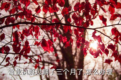 營業(yè)執(zhí)照過期了三個(gè)月了,怎么辦理