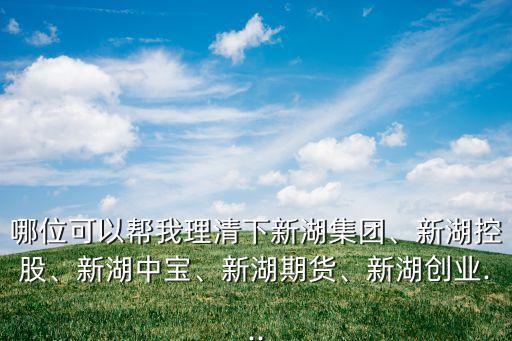 哪位可以幫我理清下新湖集團、新湖控股、新湖中寶、新湖期貨、新湖創(chuàng)業(yè)...