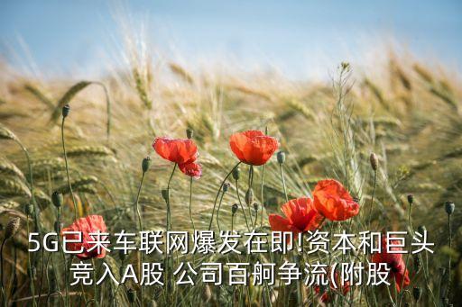 5G已來車聯(lián)網(wǎng)爆發(fā)在即!資本和巨頭競入A股 公司百舸爭流(附股