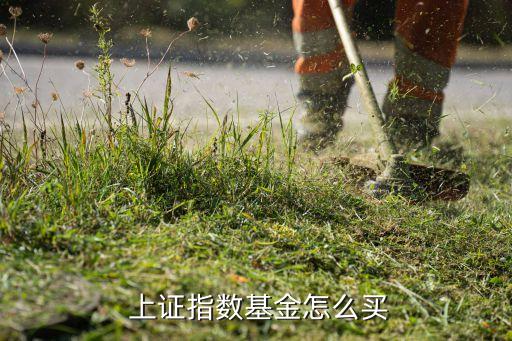  上證指數(shù)基金怎么買(mǎi)