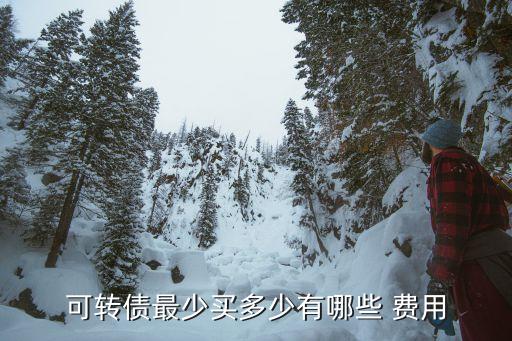 發(fā)行可轉換公司債券的交易費用,可轉換公司債券的交易費用計入什么科目