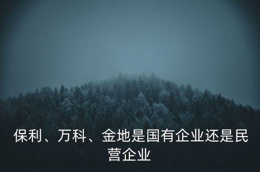  保利、萬科、金地是國有企業(yè)還是民營企業(yè)