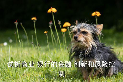 試析商業(yè) 銀行的金融 創(chuàng)新和風(fēng)險控制