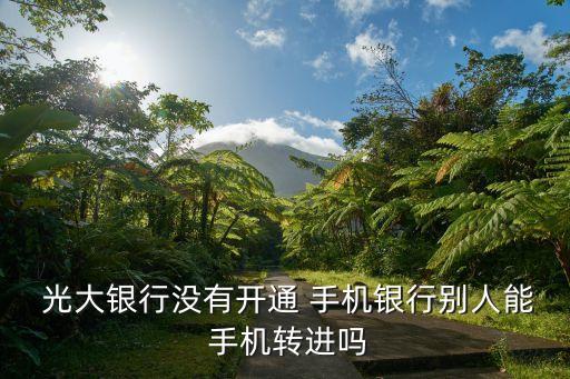  光大銀行沒(méi)有開通 手機(jī)銀行別人能 手機(jī)轉(zhuǎn)進(jìn)嗎