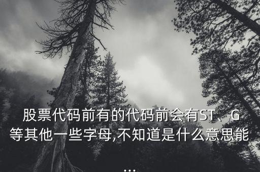  股票代碼前有的代碼前會有ST、G等其他一些字母,不知道是什么意思能...