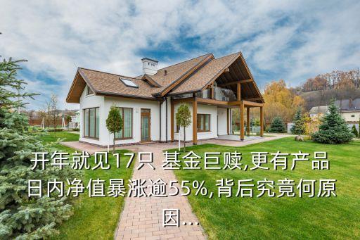 開年就見17只 基金巨贖,更有產品日內凈值暴漲逾55%,背后究竟何原因...
